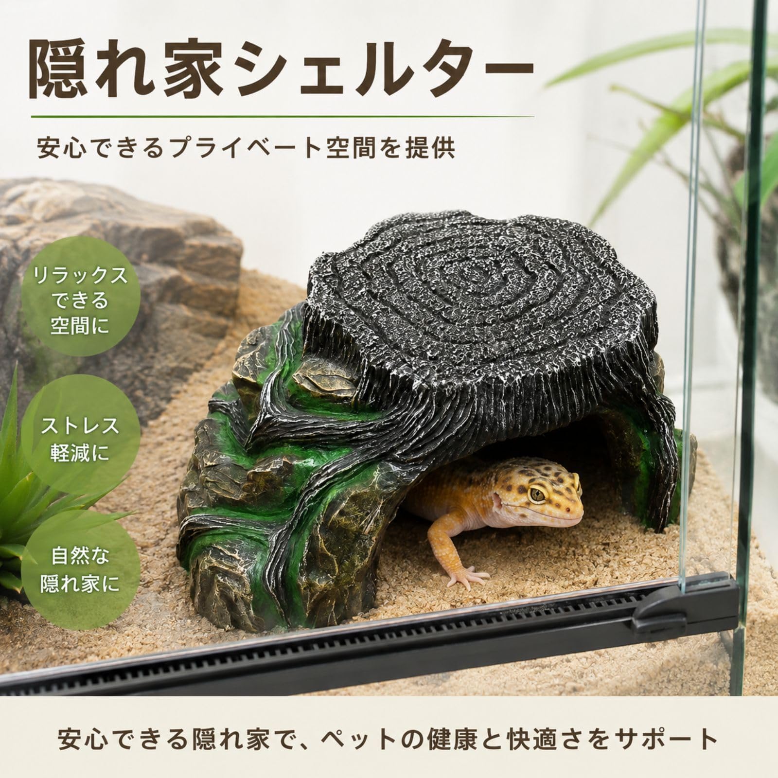 Amazon | All Trust 亀 陸地 レオパ シェルター ケージ 爬虫類 浮島